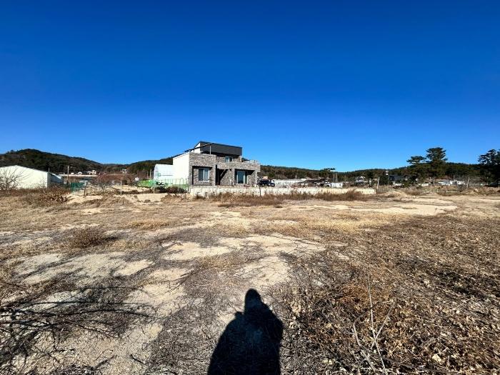 경상북도 포항시 북구 흥해읍 양백리 224 답 경매 사진 1