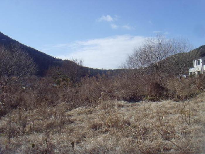 전라남도 완도군 소안면 미라리 657 전 경매 사진 8