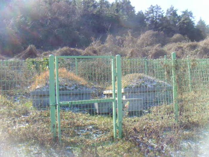 전라남도 완도군 소안면 미라리 996 전 경매 사진 6