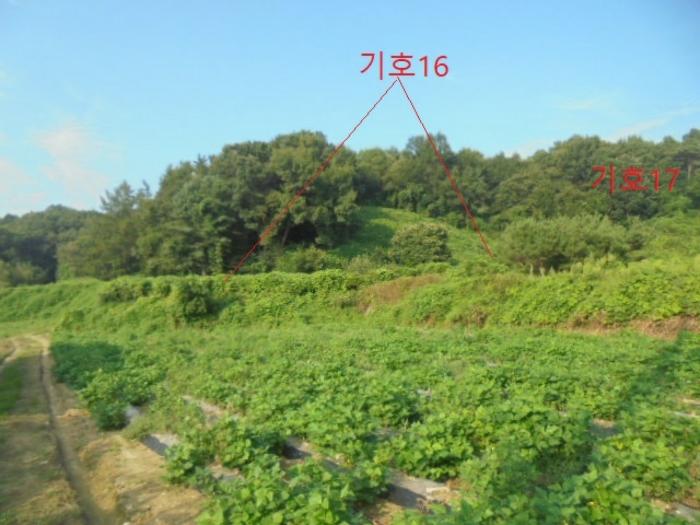 충청북도 음성군 생극면 관성리 816-1 임야 경매 사진 10