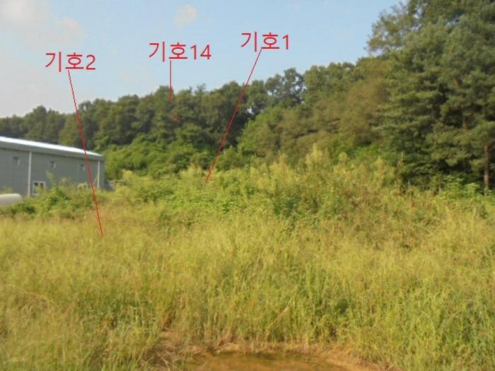 충청북도 음성군 생극면 관성리 816-1 임야 경매 사진 12