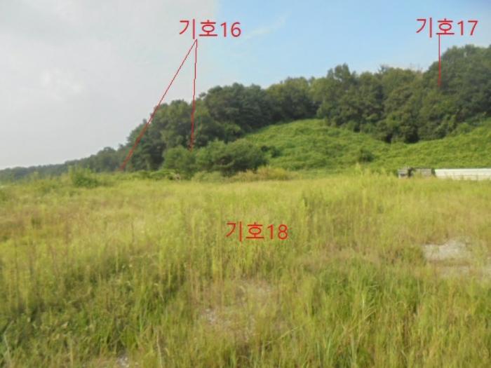 충청북도 음성군 생극면 관성리 816-1 임야 경매 사진 23