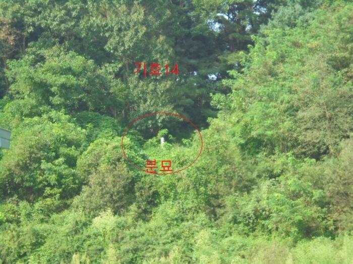 충청북도 음성군 생극면 관성리 816-1 임야 경매 사진 25