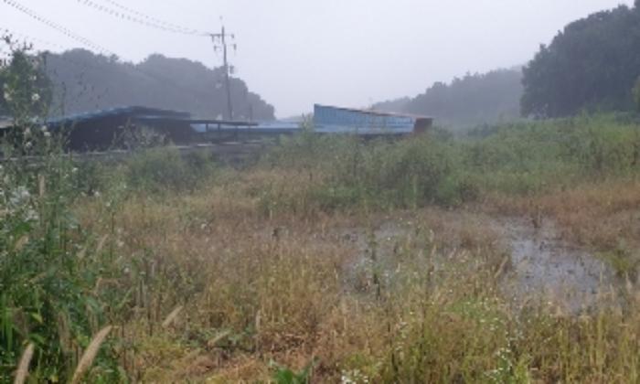 충청북도 음성군 생극면 관성리 816-1 임야 경매 사진 31