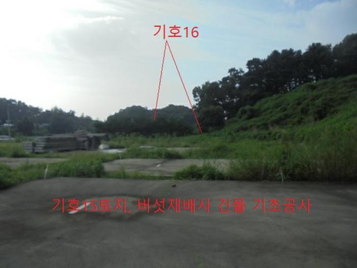 충청북도 음성군 생극면 관성리 816-1 임야 경매 사진 8
