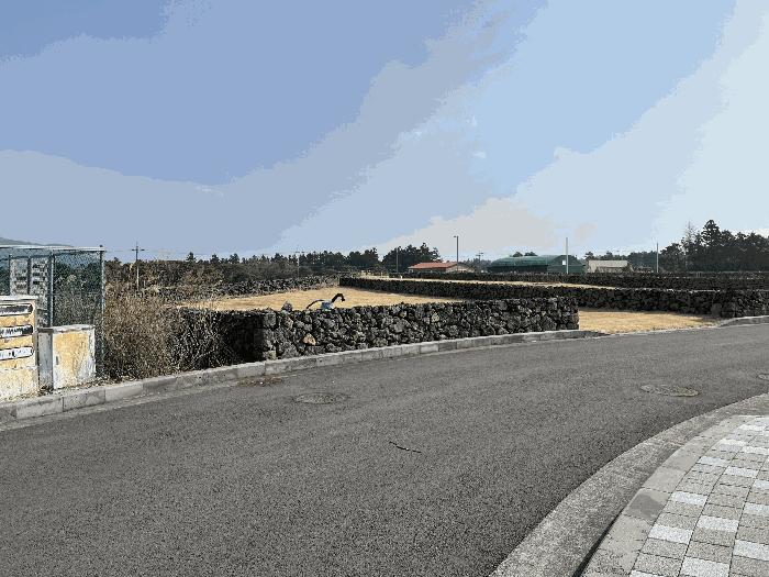 제주특별자치도 제주시 구좌읍 송당리 2836-12 대지 경매 사진 7