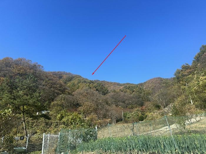 경기도 가평군 가평읍 산유리 산198-8 임야 경매 사진 1