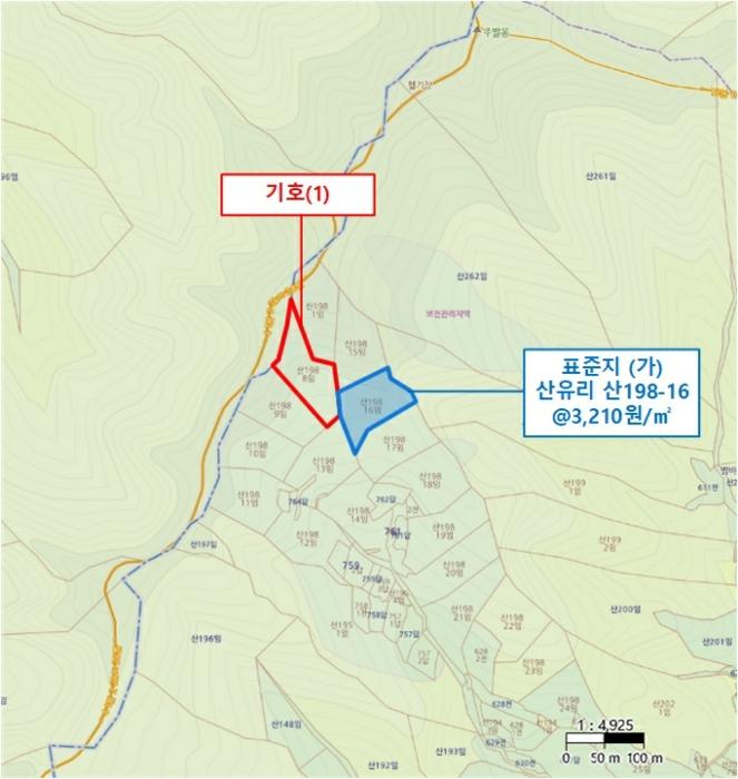 경기도 가평군 가평읍 산유리 산198-8 임야 경매 사진 6