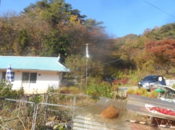 강원특별자치도 영월군 한반도면 광전리 77 전 경매 사진 19