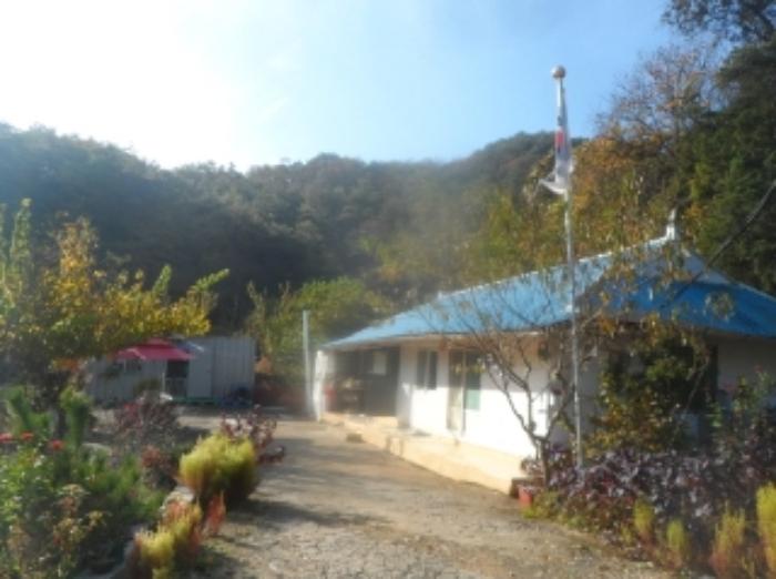 강원특별자치도 영월군 한반도면 광전리 77 전 경매 사진 20