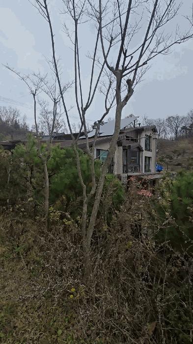 충청북도 옥천군 군북면 증약리 1169 주택 경매 사진 13