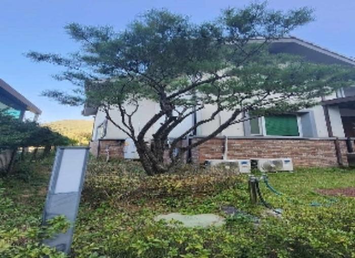 충청북도 옥천군 군북면 증약리 1169 주택 경매 사진 22