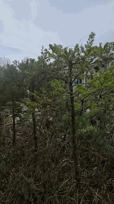충청북도 옥천군 군북면 증약리 1169 주택 경매 사진 7