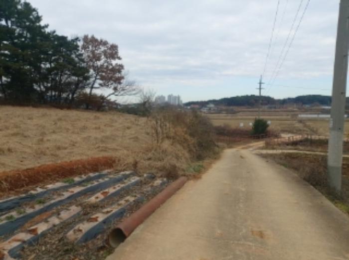 충청남도 당진시 송악읍 중흥리 산137-2 임야 경매 사진 25