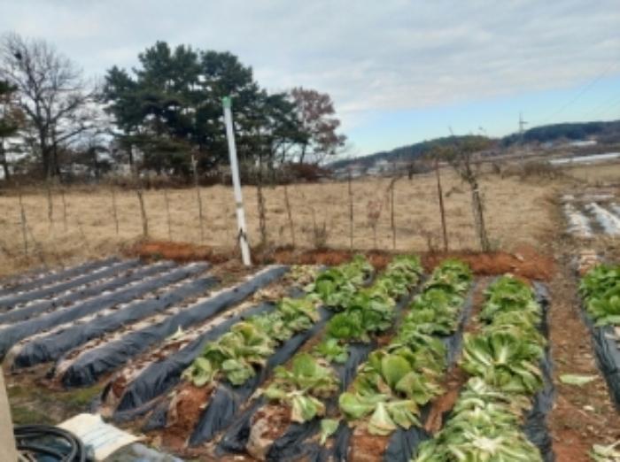 충청남도 당진시 송악읍 중흥리 산137-2 임야 경매 사진 35