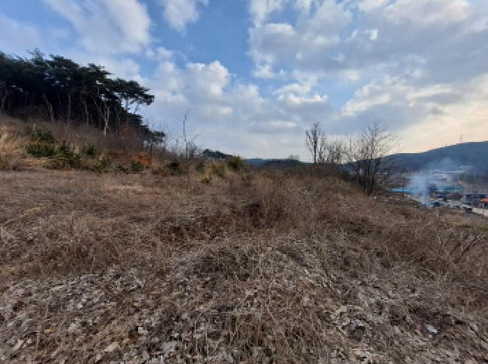 충청남도 당진시 송악읍 월곡리 161-3 임야 경매 사진 14