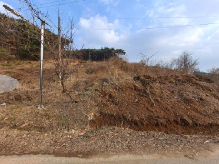 충청남도 당진시 송악읍 월곡리 161-3 임야 경매 사진 2