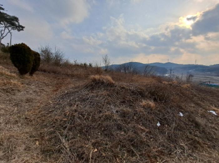 충청남도 당진시 송악읍 월곡리 161-3 임야 경매 사진 3