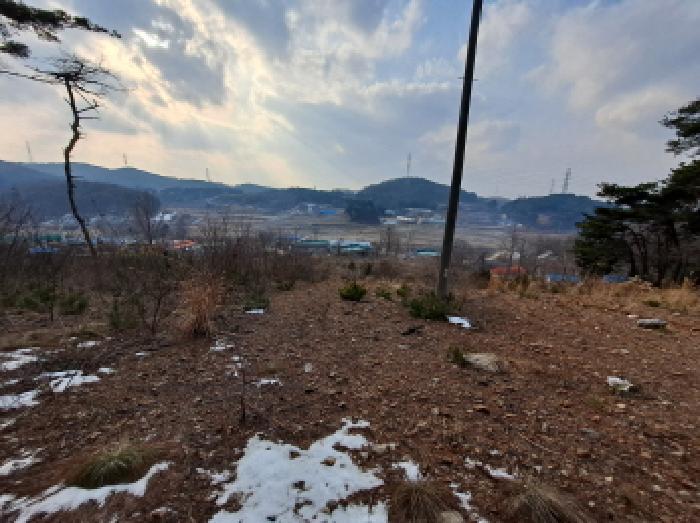 충청남도 당진시 송악읍 월곡리 161-3 임야 경매 사진 7