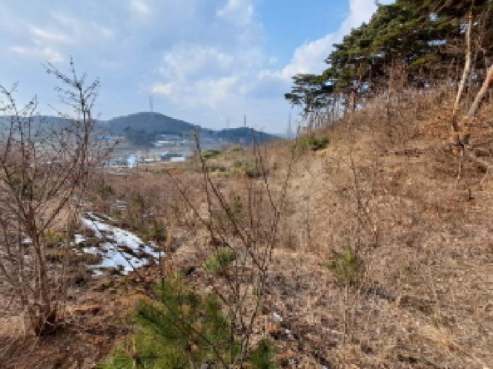 충청남도 당진시 송악읍 월곡리 161-3 임야 경매 사진 9