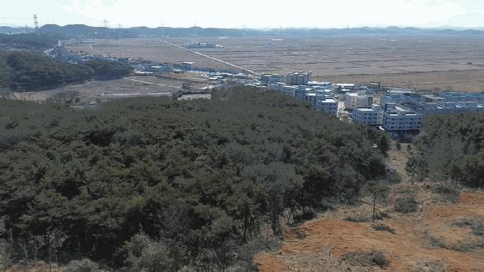 충청남도 당진시 석문면 교로리 935-9 임야 경매 사진 1