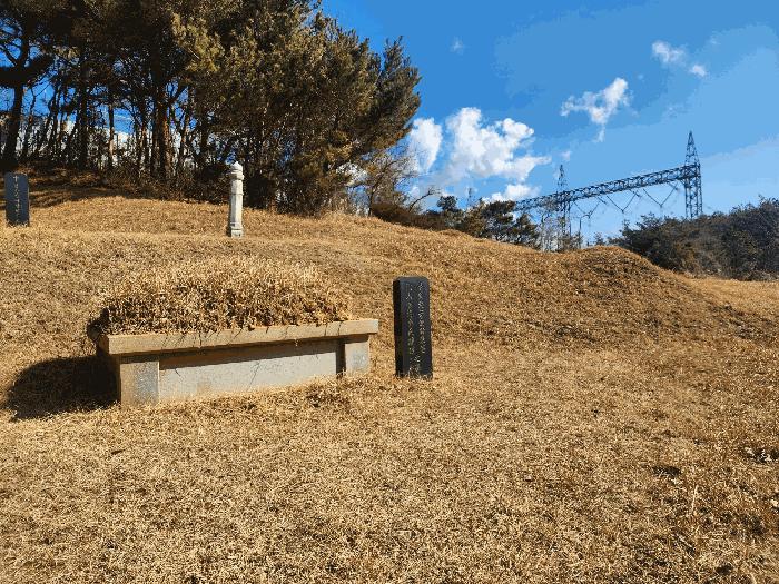 충청남도 당진시 석문면 교로리 935-9 임야 경매 사진 3