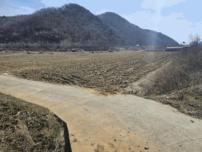 충청남도 당진시 정미면 대운산리 424 답 경매 사진 3