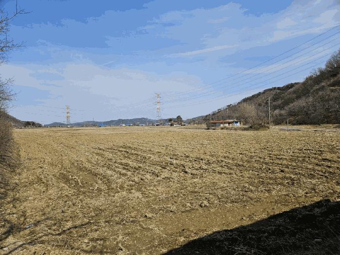 충청남도 당진시 정미면 대운산리 424 답 경매 사진 4