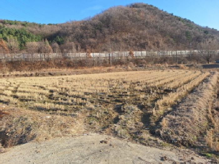 충청남도 당진시 정미면 대운산리 424 답 경매 사진 5