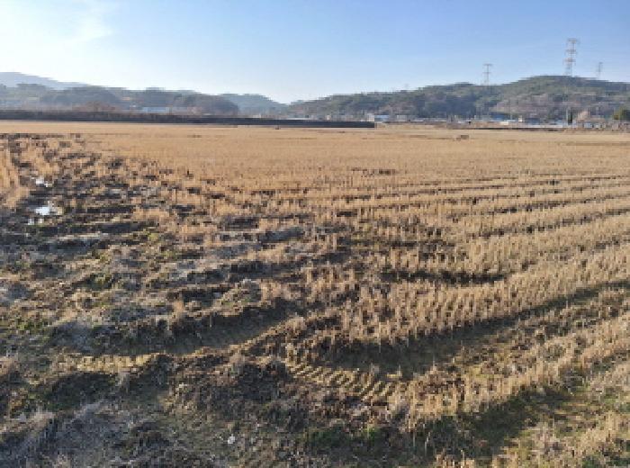 충청남도 당진시 정미면 대운산리 424 답 경매 사진 7