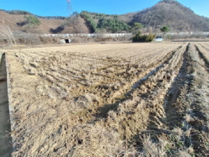 충청남도 당진시 정미면 대운산리 424 답 경매 사진 8