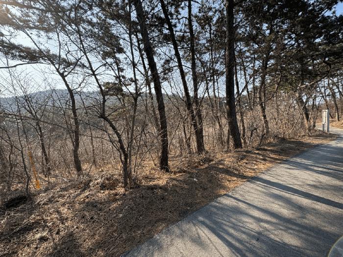 충청남도 보령시 오천면 삽시도리 산16-3 임야 경매 사진 3