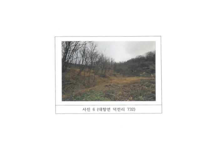 경상북도 김천시 대항면 덕전리 731 전 경매 사진 10