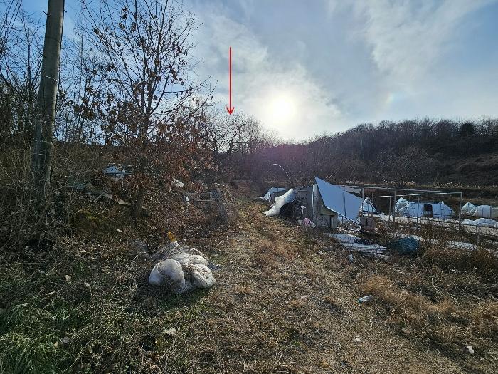 경상북도 김천시 대항면 덕전리 731 전 경매 사진 4