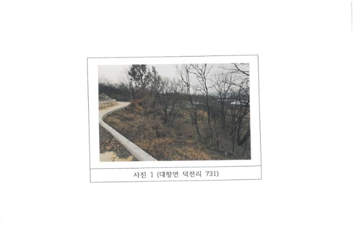 경상북도 김천시 대항면 덕전리 731 전 경매 사진 5
