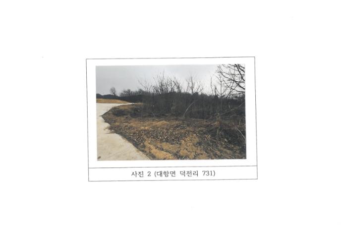경상북도 김천시 대항면 덕전리 731 전 경매 사진 6