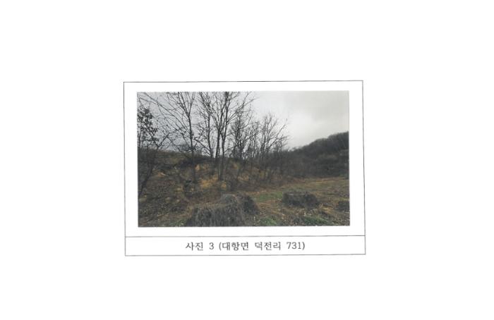 경상북도 김천시 대항면 덕전리 731 전 경매 사진 7