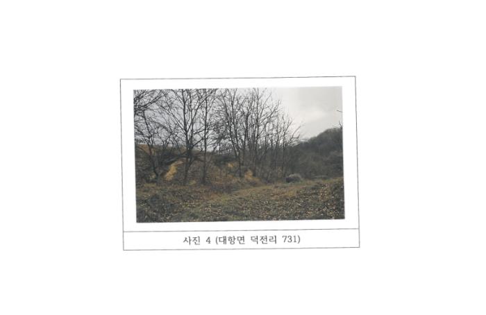 경상북도 김천시 대항면 덕전리 731 전 경매 사진 8