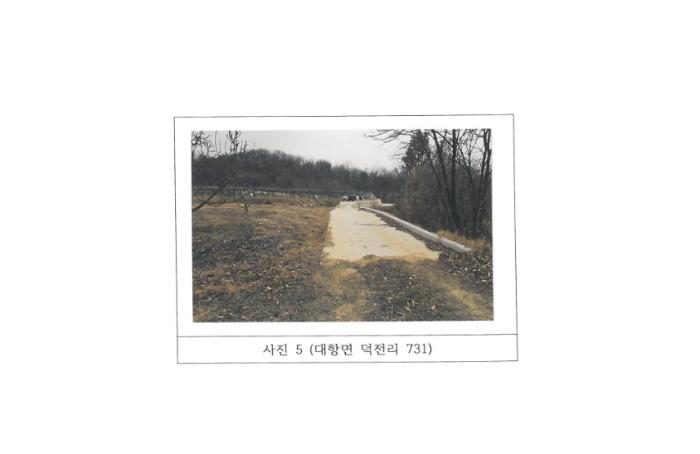 경상북도 김천시 대항면 덕전리 731 전 경매 사진 9