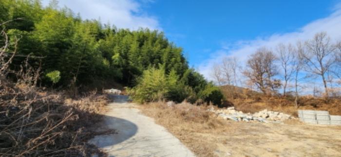 경상북도 김천시 어모면 중왕리 300 전 경매 사진 9