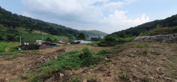 경기도 화성시 서신면 홍법리 17-7 임야 경매 사진 5