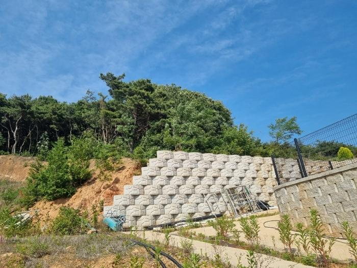 경기도 화성시 장안면 장안리 산209-62 근린주택 경매 사진 11