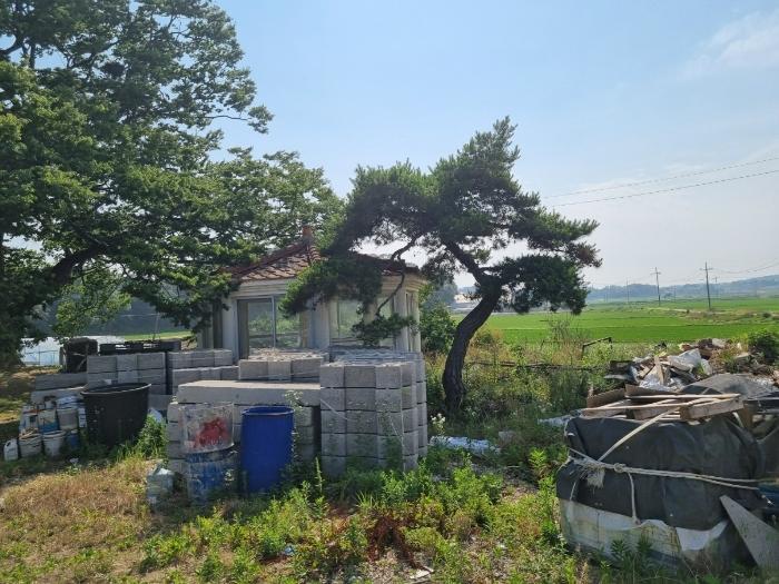 경기도 화성시 장안면 장안리 산209-62 근린주택 경매 사진 13