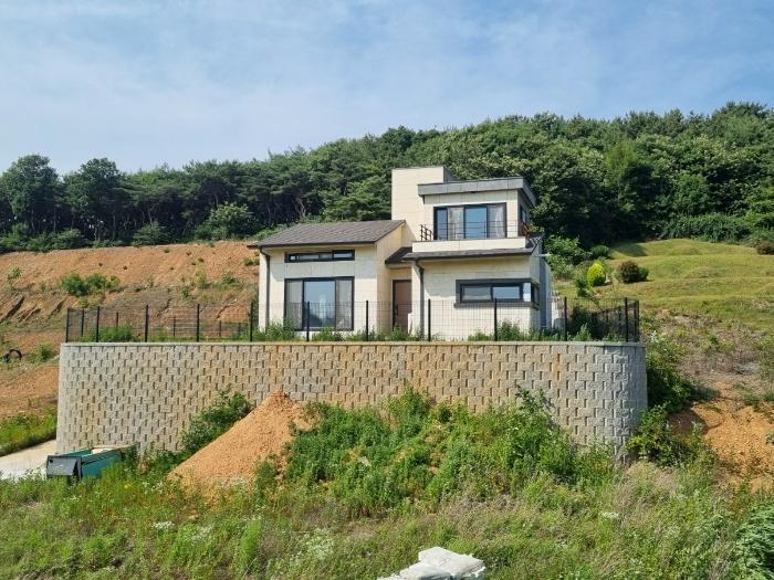 경기도 화성시 장안면 장안리 산209-62 근린주택 경매 사진 3