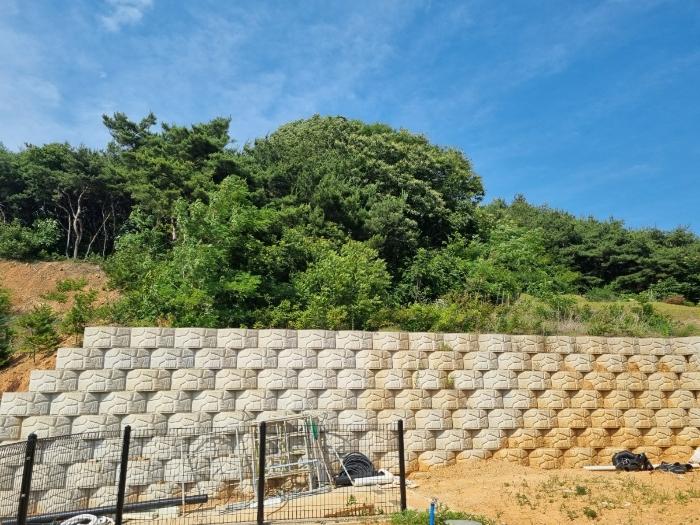 경기도 화성시 장안면 장안리 산209-62 근린주택 경매 사진 5