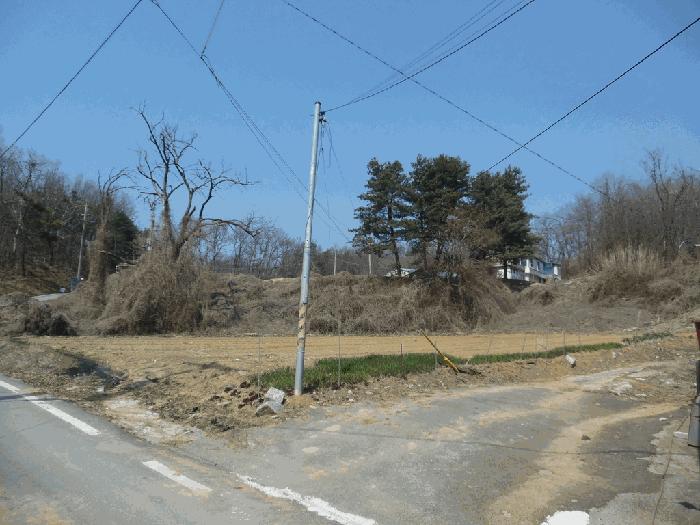충청북도 증평군 도안면 송정리 134-5 공장 경매 사진 4