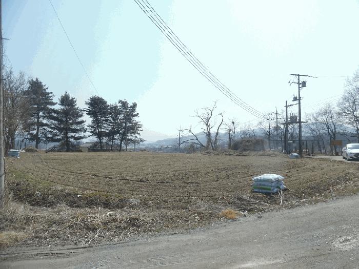 충청북도 증평군 도안면 송정리 805 임야 경매 사진 8