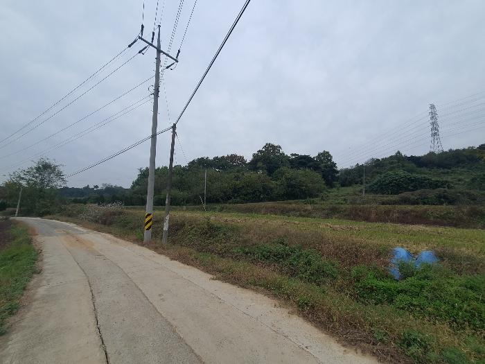 충청남도 당진시 송악읍 석포리 351-20 임야 경매 사진 1