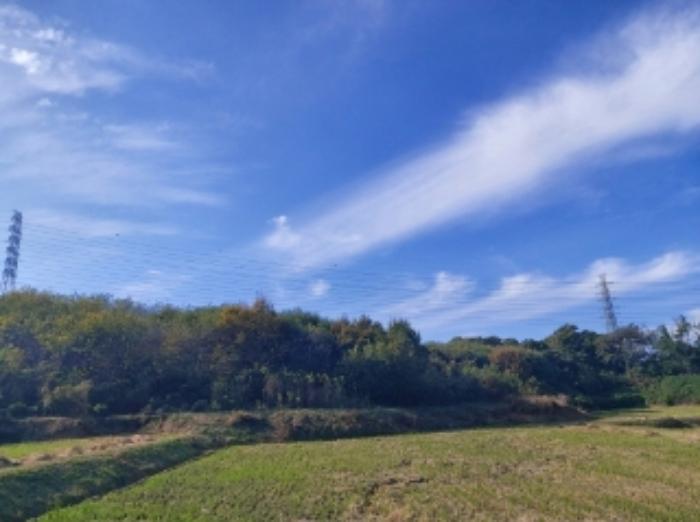 충청남도 당진시 송악읍 석포리 351-20 임야 경매 사진 17