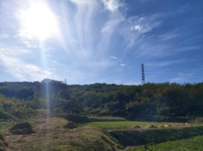 충청남도 당진시 송악읍 석포리 351-20 임야 경매 사진 18